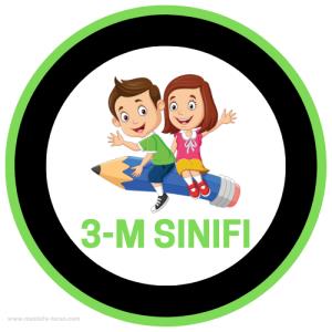 3-M Sınıfı ( Sticker)