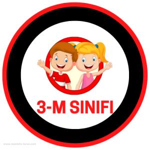 3-M Sınıfı ( Sticker)