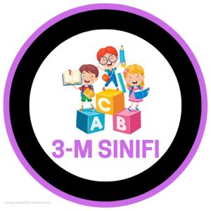 3-M Sınıfı ( Sticker)