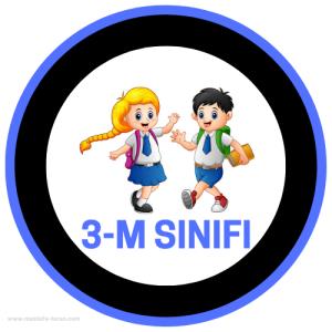 3-M Sınıfı ( Sticker)