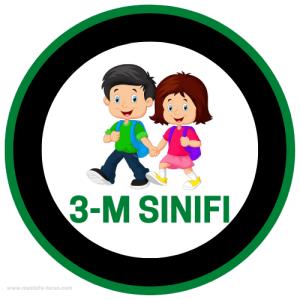 3-M Sınıfı ( Sticker)