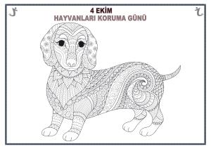 4. Ekim Hayvanları Koruma Günü Mandala Etkinlikleri