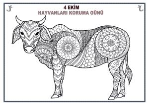 4. Ekim Hayvanları Koruma Günü Mandala Etkinlikleri