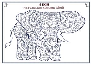 4. Ekim Hayvanları Koruma Günü Mandala Etkinlikleri