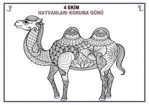 4. Ekim Hayvanları Koruma Günü Mandala Etkinlikleri