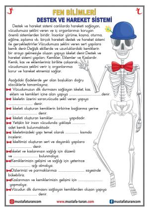 Bones - Joints - Muscles Activity